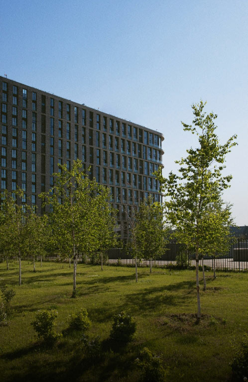 University architecture and landscaped grounds